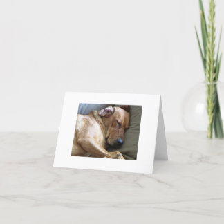 Rhodesian Ridgeback Labrador Dog Mix Card