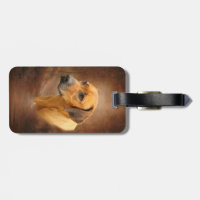 Rhodesian Ridgeback