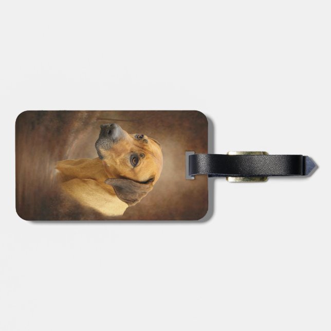 Rhodesian Ridgeback Luggage Tag (Back Horizontal)