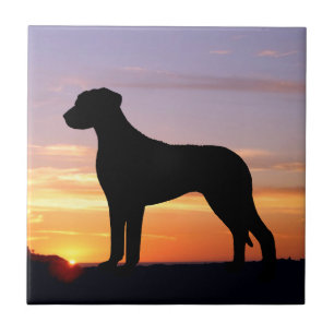 Rhodesian Ridgeback Luminescent Silhouette Ceramic Tile