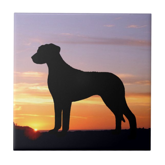Rhodesian Ridgeback Luminescent Silhouette Ceramic Tile (Front)