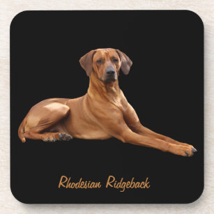 Rhodesian Ridgeback mats (set of 6 stuks) Coaster