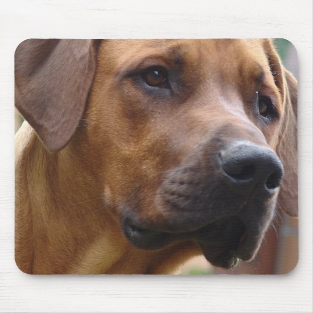 Rhodesian Ridgeback Mouse Pad (Front)