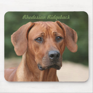 Rhodesian Ridgeback mousepad