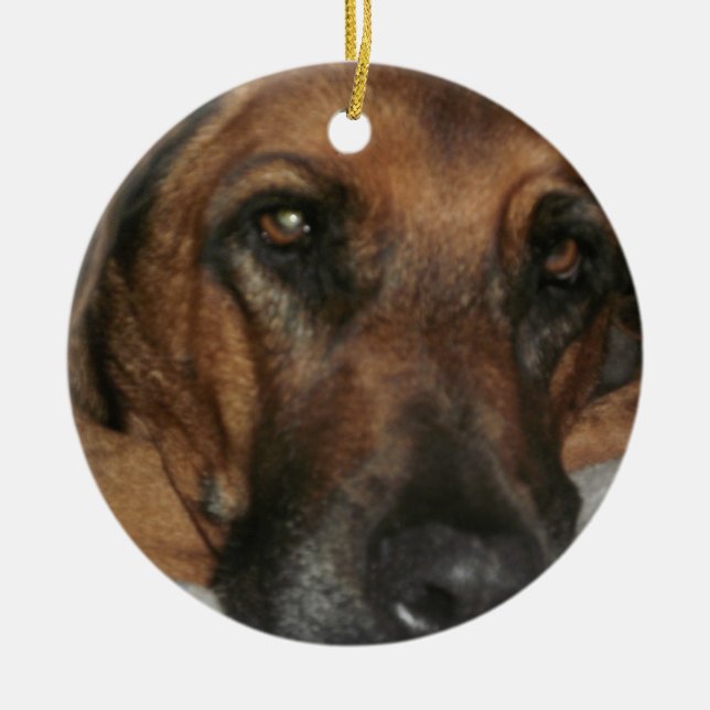 Rhodesian Ridgeback Ornament (Front)