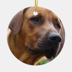 Rhodesian Ridgeback Ornament