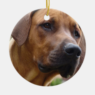 ridgeback gifts