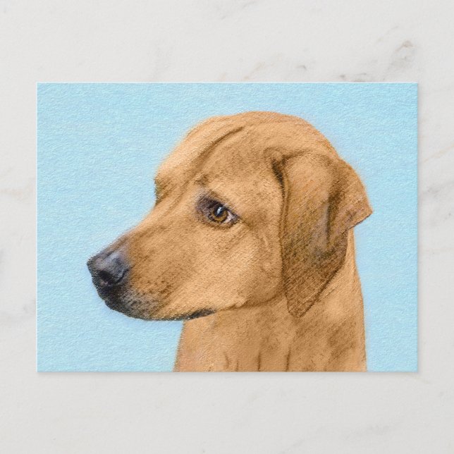 Rhodesian Ridgeback Painting - Original Dog Art Postcard (Front)
