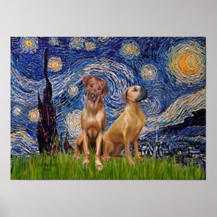 Rhodesian Ridgeback Pair - Starry Night Poster
