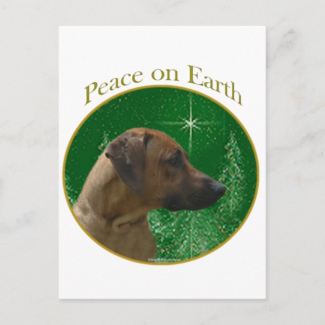 Rhodesian Ridgeback Peace Postcard (Front)