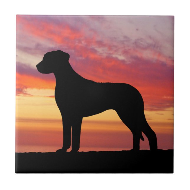 Rhodesian Ridgeback Persimmon Sunset Silhouette Ceramic Tile (Front)