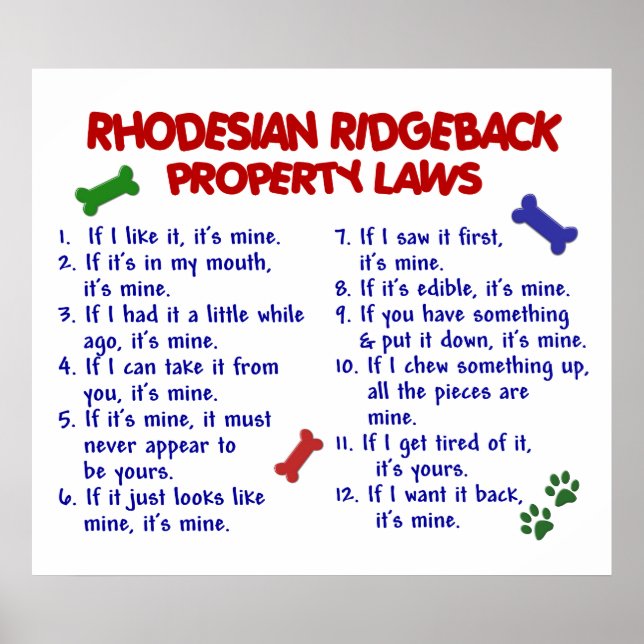 RHODESIAN RIDGEBACK POSTER (Front)
