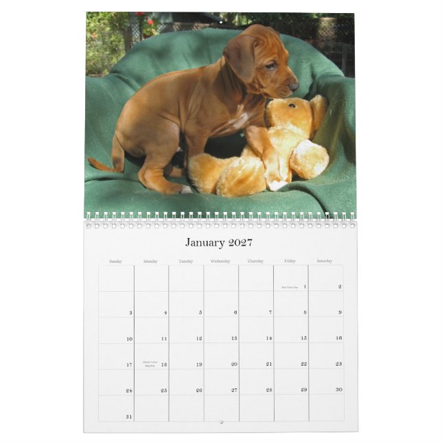 Rhodesian Ridgeback Puppies 2012 Calendar (Jan 2027)