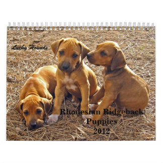 Rhodesian Ridgeback Puppies 2012 Calendar