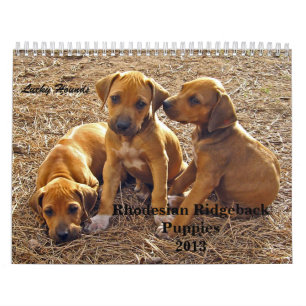 Rhodesian Ridgeback Puppies 2013 Calendar