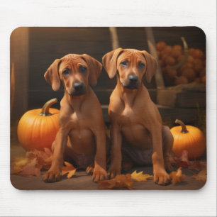 Rhodesian Ridgeback Puppy Autumn Delight Pumpkin Mouse Pad