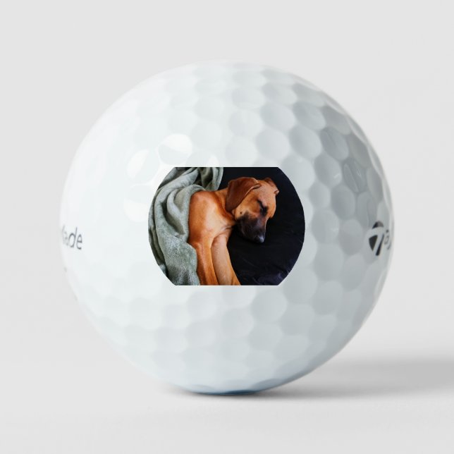 rhodesian-ridgeback-snuggy golf balls (Front)