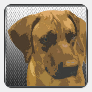 Rhodesian Ridgeback Square Sticker