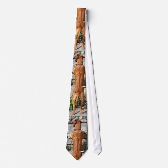 rhodesian ridgeback standing.png tie (Front)