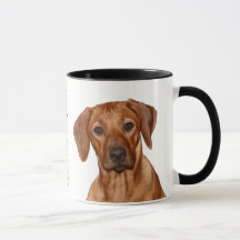 Rhodesian Ridgeback sulk