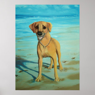 Rhodesian Ridgeback "Tony" Smiles Poster