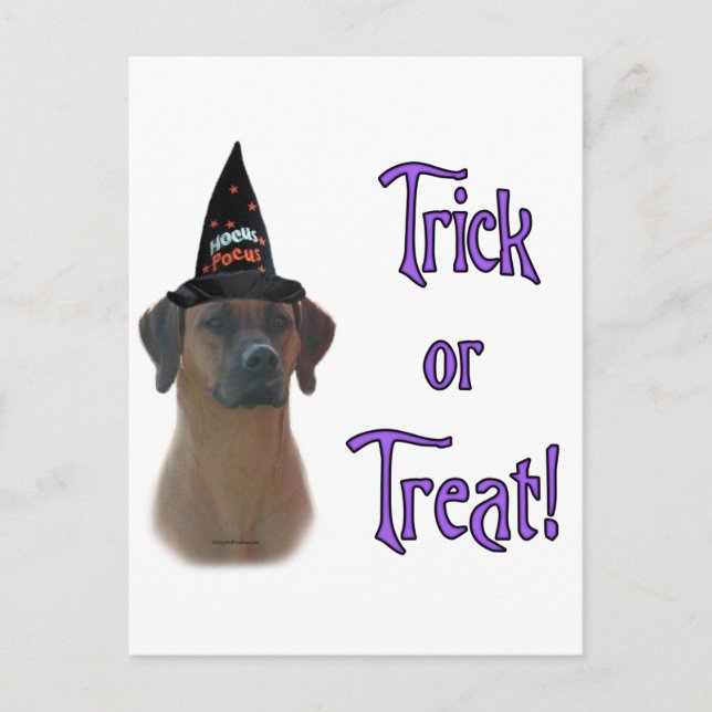 Rhodesian Ridgeback Trick Postcard (Front)