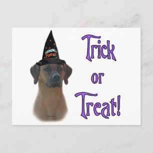 Rhodesian Ridgeback Trick Postcard