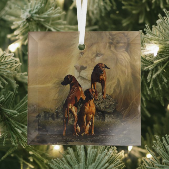Rhodesian Ridgeback with Lion  Glass Tree Decoration (Insitu)