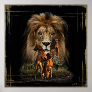 Rhodesian Ridgeback with Lion Poster