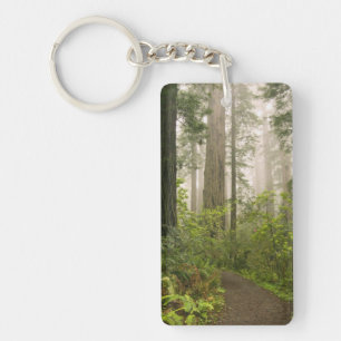 Rhododendron blooming among the Coast Redwoods / Key Ring
