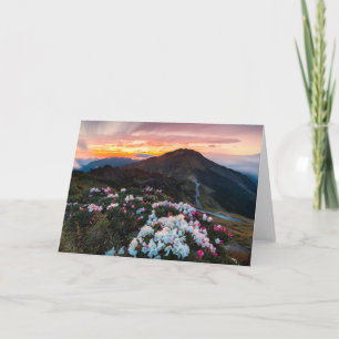 Rhododendron Blooming   Taroko National Park Card