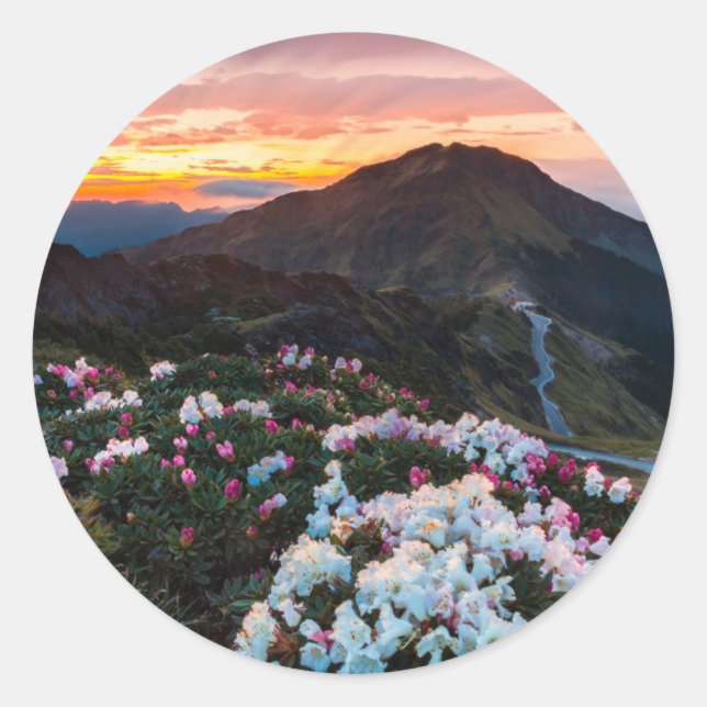 Rhododendron Blooming | Taroko National Park Classic Round Sticker (Front)