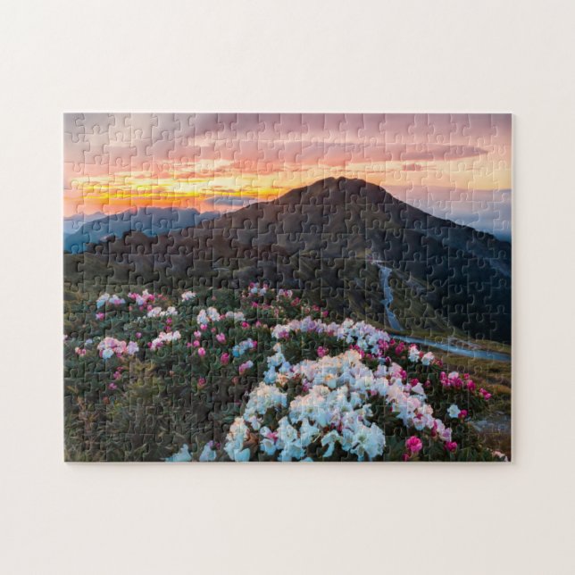 Rhododendron Blooming | Taroko National Park Jigsaw Puzzle (Horizontal)