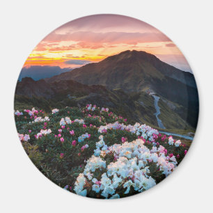 Rhododendron Blooming Taroko National Park Magnet