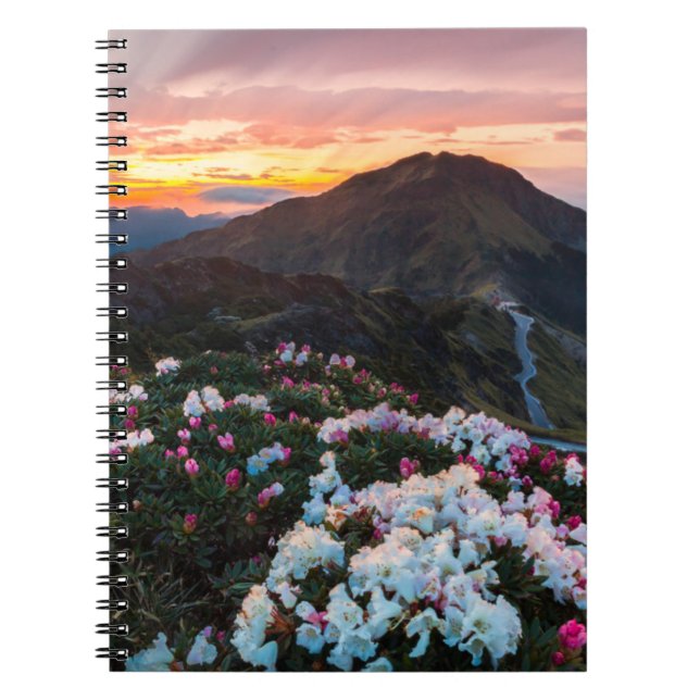 Rhododendron Blooming | Taroko National Park Notebook (Front)