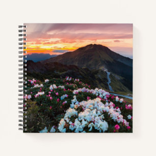 Rhododendron Blooming Taroko National Park Notebook