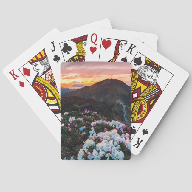 Rhododendron Blooming | Taroko National Park Playing Cards (Back)