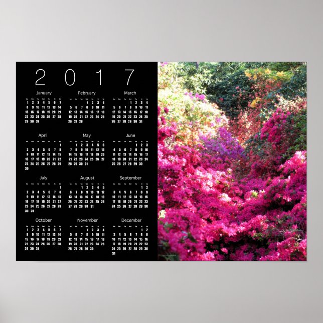 Rhododendron Calendar Poster 2017 (Front)