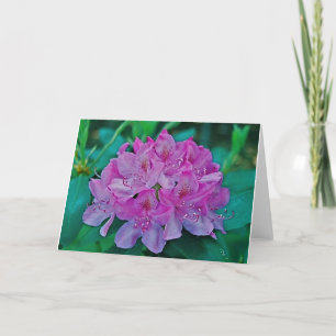 Rhododendron Card