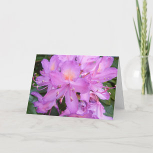 Rhododendron Flower Birthday Card
