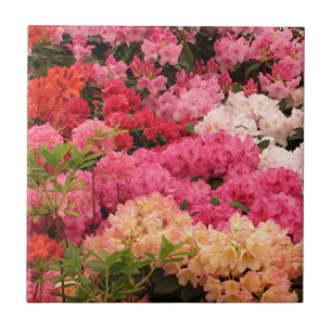 Rhododendron flowers ceramic tile