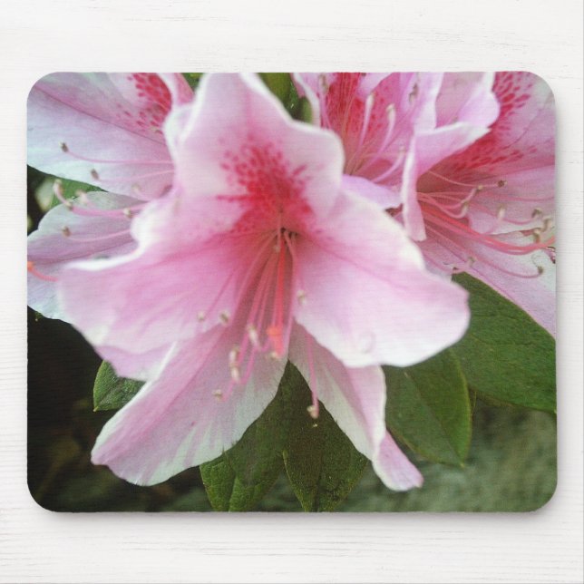 Rhododendron Flowers Mouse Pad (Front)