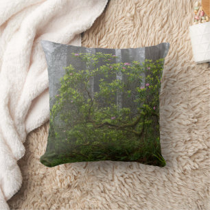 Rhododendron in Redwood National Park California Cushion