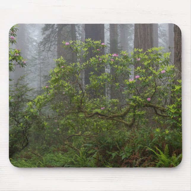Rhododendron in Redwood National Park California Mouse Pad (Front)