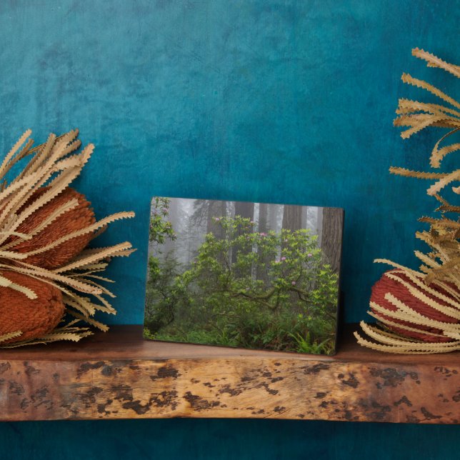 Rhododendron in Redwood National Park California Plaque (Side)