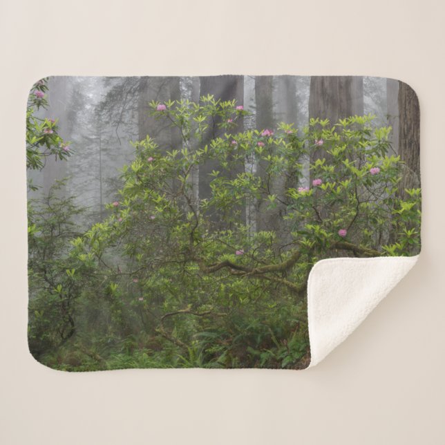 Rhododendron in Redwood National Park California Sherpa Blanket (Front (Horizontal))