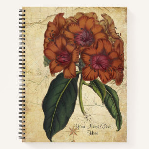 Rhododendron Javanicum Notebook