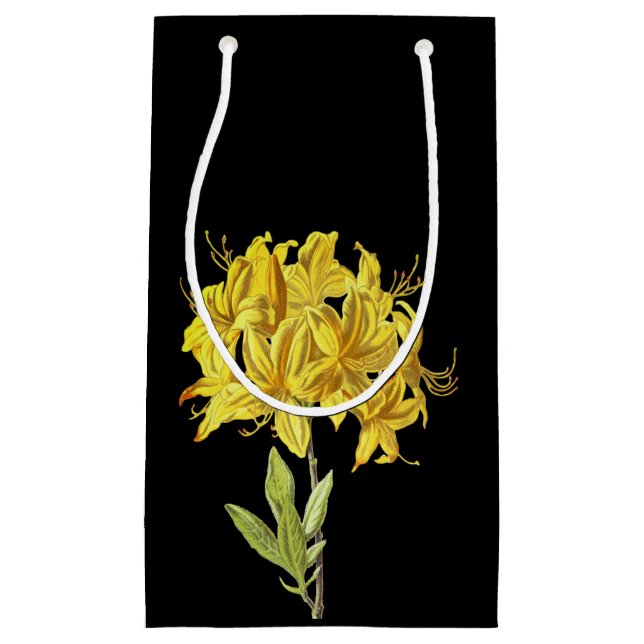 Rhododendron luteum (Pontic Azalea) Small Gift Bag (Front)