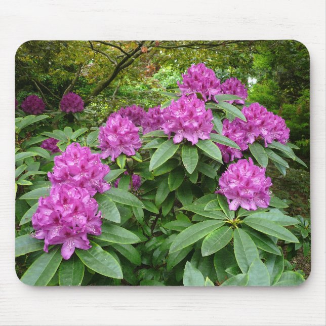 Rhododendron Ponticum Mouse Pad (Front)