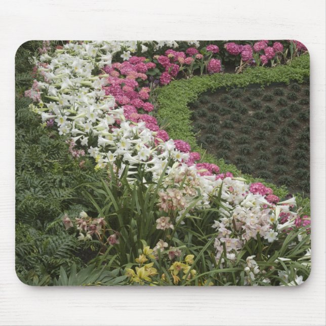 Rhododendron (Rhododendron catawbiense) Heath Mouse Pad (Front)